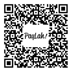 Paylah_QR_Code_small.jpg